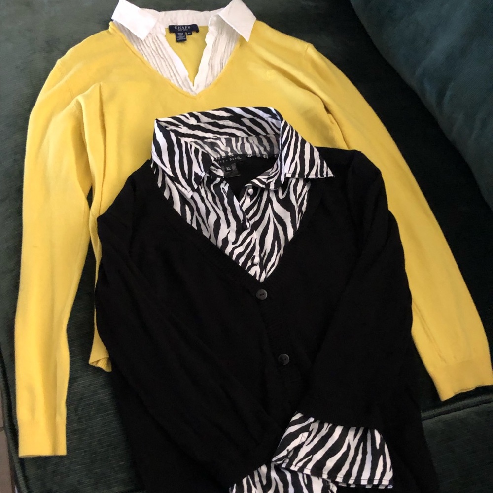 Two Sweater/blouse size xlarge